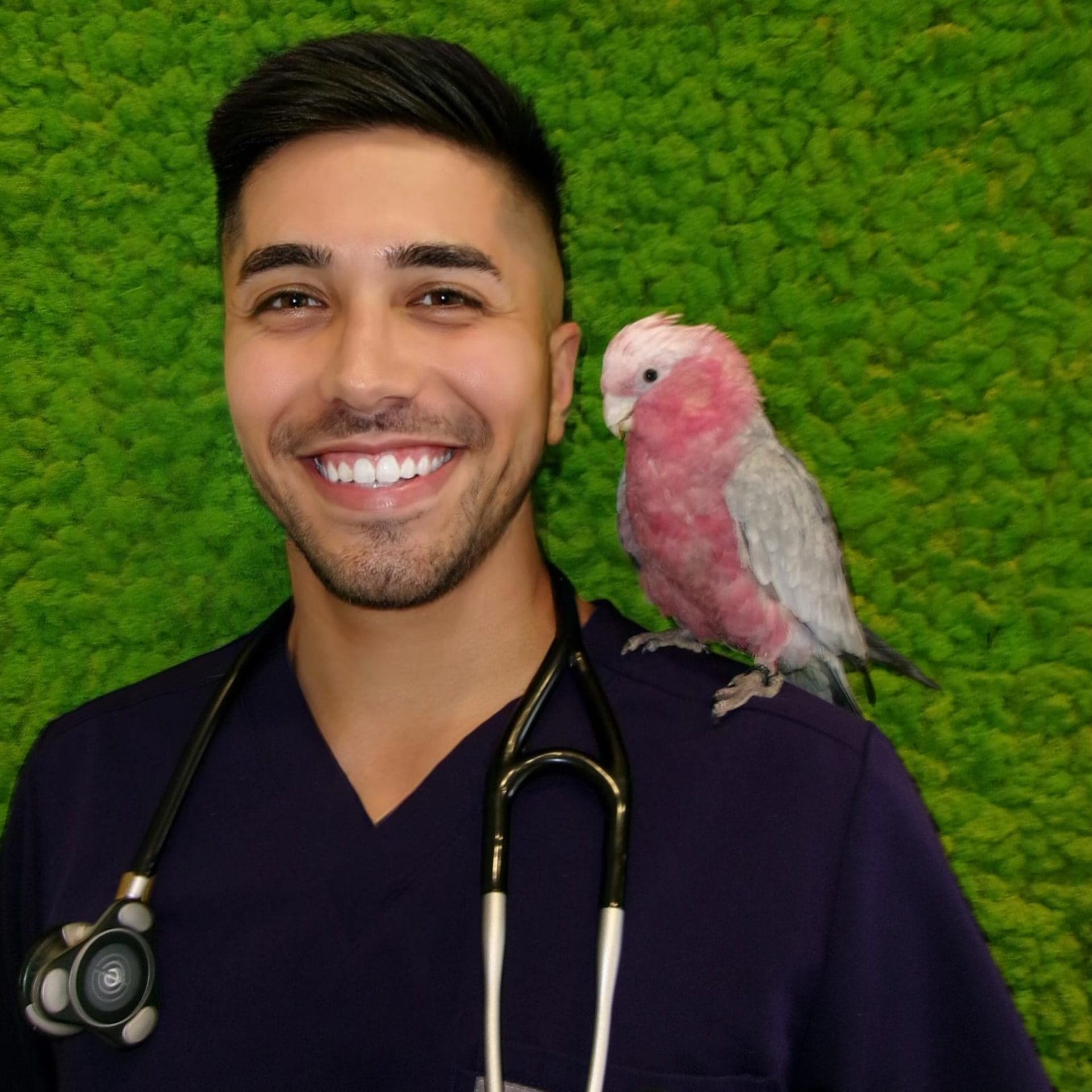 Dr Madrigal